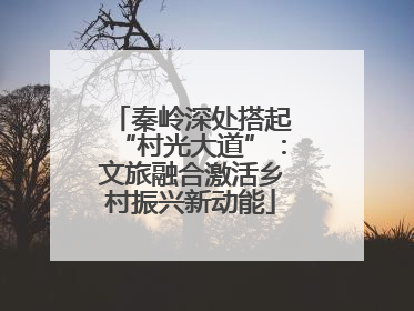 秦岭深处搭起“村光大道”：文旅融合激活乡村振兴新动能