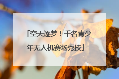 空天逐梦！千名青少年无人机赛场秀技