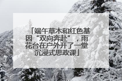 端午草木和红色基因“双向奔赴”，雨花台在户外开了一堂沉浸式思政课