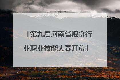 第九届河南省粮食行业职业技能大赛开幕