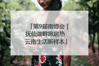 第9届南博会｜抚仙湖畔旅居热 云南生活新样本