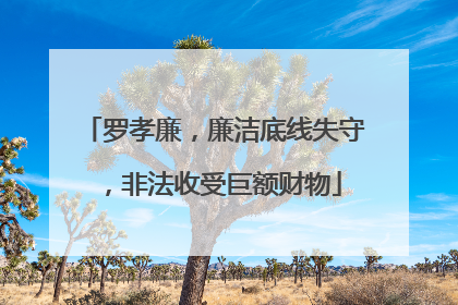 罗孝廉，廉洁底线失守，非法收受巨额财物