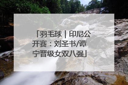 羽毛球｜印尼公开赛：刘圣书/谭宁晋级女双八强