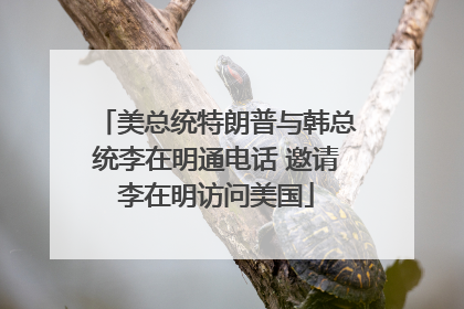 美总统特朗普与韩总统李在明通电话 邀请李在明访问美国