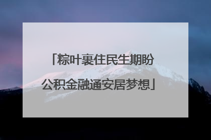 粽叶裹住民生期盼 公积金融通安居梦想