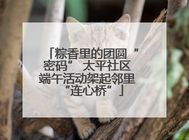 粽香里的团圆“密码” 太平社区端午活动架起邻里“连心桥”