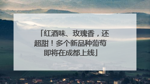 红酒味、玫瑰香，还超甜！多个新品种葡萄即将在成都上线