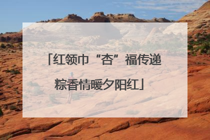 红领巾“杏”福传递 粽香情暖夕阳红