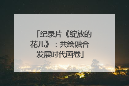 纪录片《绽放的花儿》：共绘融合发展时代画卷