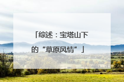 综述：宝塔山下的“草原风情”