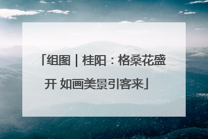 组图｜桂阳：格桑花盛开 如画美景引客来