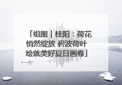 组图｜桂阳：荷花悄然绽放 碧波荷叶绘就美好夏日画卷