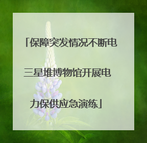 保障突发情况不断电 三星堆博物馆开展电力保供应急演练