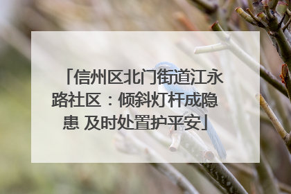 信州区北门街道江永路社区：倾斜灯杆成隐患 及时处置护平安