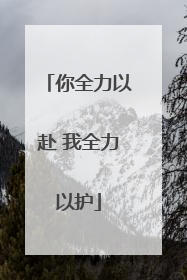 你全力以赴 我全力以护