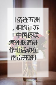 侨连五洲，相约江苏！中国侨联海外联谊研修班活动在南京开班