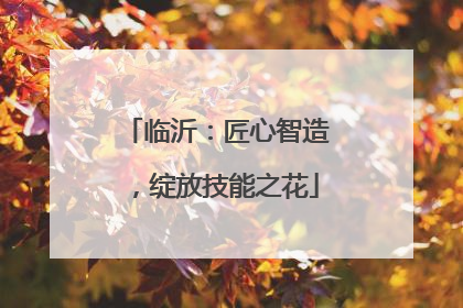 临沂：匠心智造，绽放技能之花
