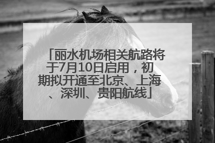 丽水机场相关航路将于7月10日启用，初期拟开通至北京、上海、深圳、贵阳航线