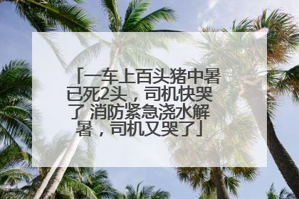一车上百头猪中暑已死2头，司机快哭了 消防紧急浇水解暑，司机又哭了