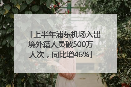 上半年浦东机场入出境外籍人员破500万人次，同比增46%