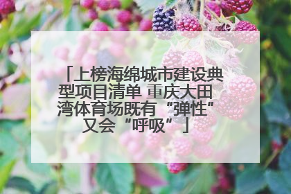 上榜海绵城市建设典型项目清单 重庆大田湾体育场既有“弹性”又会“呼吸”
