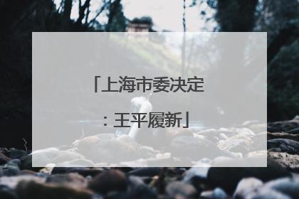 上海市委决定：王平履新