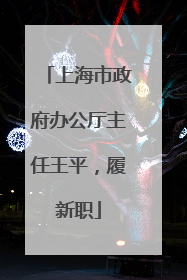 上海市政府办公厅主任王平，履新职