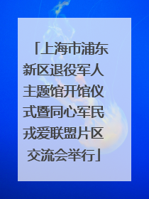 上海市浦东新区退役军人主题馆开馆仪式暨同心军民戎爱联盟片区交流会举行