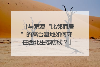 与荒漠“比邻而居”的高台湿地如何守住西北生态防线？