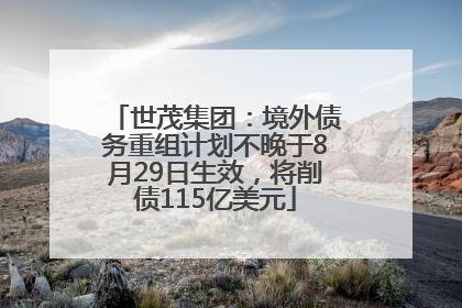 世茂集团：境外债务重组计划不晚于8月29日生效，将削债115亿美元