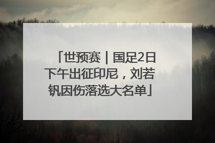 世预赛｜国足2日下午出征印尼，刘若钒因伤落选大名单