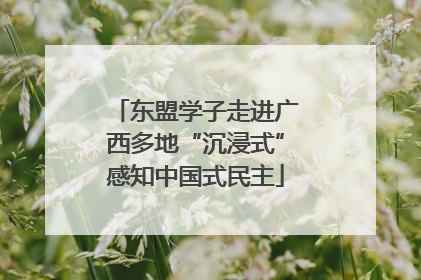 东盟学子走进广西多地“沉浸式”感知中国式民主