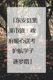 东安县紫溪市镇：政府暖心送考 护航学子逐梦路
