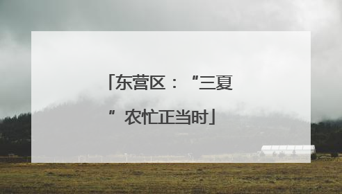 东营区：“三夏”农忙正当时