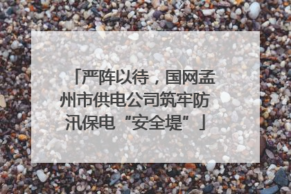 严阵以待，国网孟州市供电公司筑牢防汛保电“安全堤”