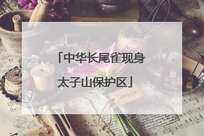 中华长尾雀现身太子山保护区
