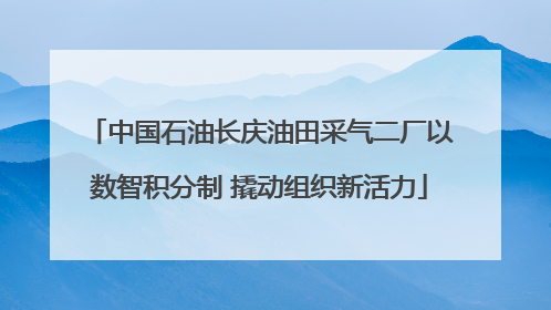 中国石油长庆油田采气二厂以数智积分制 撬动组织新活力