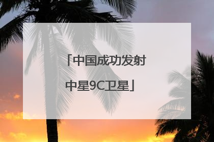 中国成功发射中星9C卫星