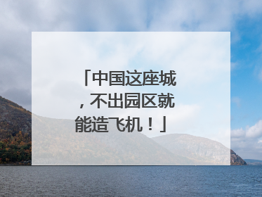 中国这座城，不出园区就能造飞机！