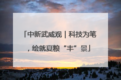 中新武威观｜科技为笔，绘就夏粮“丰”景