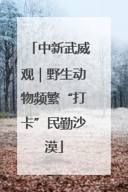 中新武威观｜野生动物频繁“打卡”民勤沙漠