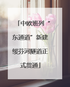 中欧班列“东通道”新建绥芬河隧道正式贯通