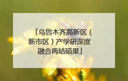 乌鲁木齐高新区（新市区）产学研深度融合再结硕果