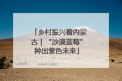 乡村振兴看内蒙古｜“沙漠蓝莓”种出紫色未来