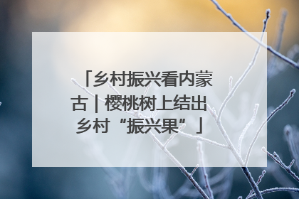 乡村振兴看内蒙古｜樱桃树上结出乡村“振兴果”