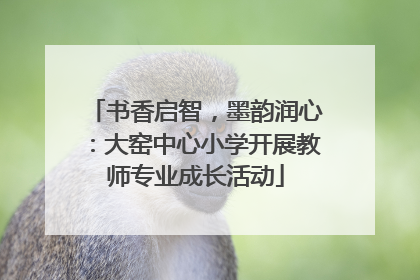 书香启智，墨韵润心：大窑中心小学开展教师专业成长活动