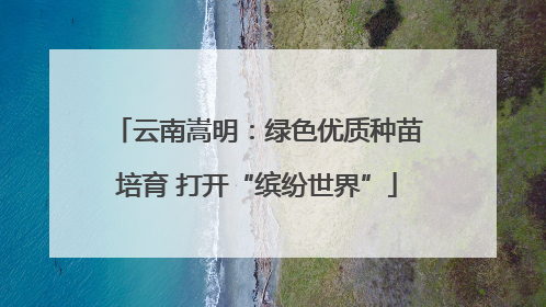 云南嵩明：绿色优质种苗培育 打开“缤纷世界”