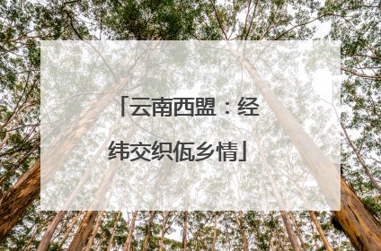云南西盟：经纬交织佤乡情