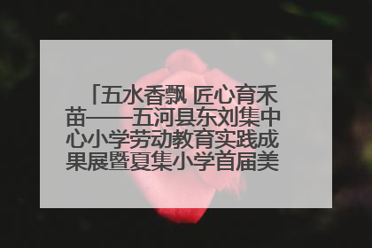 五水香飘 匠心育禾苗——五河县东刘集中心小学劳动教育实践成果展暨夏集小学首届美食节盛大举行