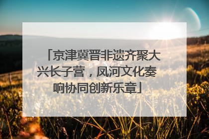 京津冀晋非遗齐聚大兴长子营，凤河文化奏响协同创新乐章